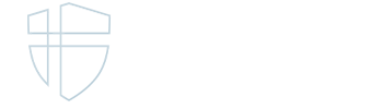 NSG Nordic Shield Group